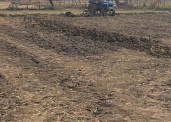 10 वर्षों बाद मुक्त हुई 9 एकड़ चारागाह भूमि, ग्राम पंचायत झीट की पहल से हटा अतिक्रमण