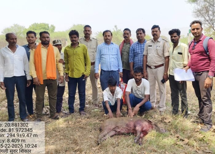 जंगली सूअर के शिकार करते 6 आरोपी दबोचे गए,वन विभाग के टीम को मिला बड़ी सफलता,,,