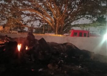 पराली में लगाई आग गांव के खलिहान तक पहुंचा,,,खलिहान में रखे सामान जल कर खाक,,,