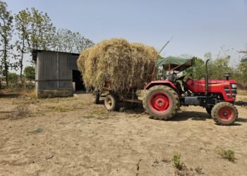 गौठान संचालन के स्पष्टता के अभाव में किसानों को खरीफ फसल में घुमंतू पशुओं द्वारा होने वाले नुकसान से बचाने सेलूद सरपंच का पहल