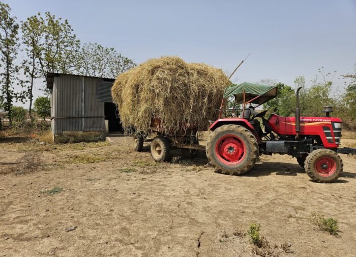गौठान संचालन के स्पष्टता के अभाव में किसानों को खरीफ फसल में घुमंतू पशुओं द्वारा होने वाले नुकसान से बचाने सेलूद सरपंच का पहल