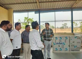 जिला पंचायत सीईओ बजरंग दुबे ने पतोरा में शासकीय योजनाओं का किया निरीक्षण