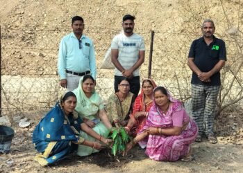 स्थानीय साहू समाज सेलूद द्वारा पर्यावरण संरक्षण के लिय किया गया पौधरोपण