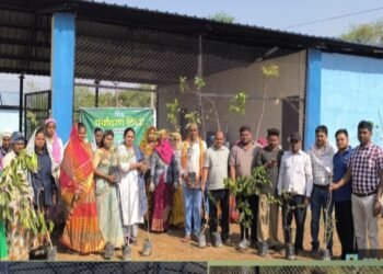 अमलेश्वर पालिका  में किया गया वृक्षारोपण