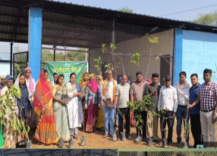 अमलेश्वर पालिका  में किया गया वृक्षारोपण