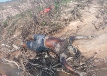 बाढ़ में बहे लापता व्यक्ति का शव 4 दिन बाद नदी के बीच मिला शव, पानी कम होने पर दिखा,,,