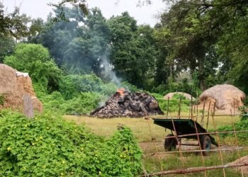 बीती रात गाड़ाघाट में किसान  के पैरावट में अज्ञात तत्वों ने लगाया आग,,,,15 एकड़ का पैरवाट जलकर राख,,,,,