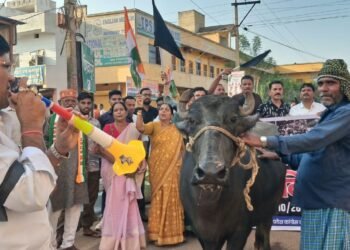 जामुल में ज्ञानेश कुमार की चुप्पी पर अनोखा प्रदर्शन—भैंस के सामने हॉर्न बजाकर जताया विरोध, जिले के सभी ब्लॉकों में गूंजा लोकतंत्र बचाने का संकल्प