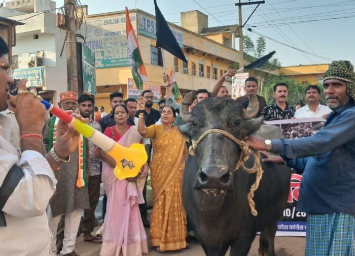 जामुल में ज्ञानेश कुमार की चुप्पी पर अनोखा प्रदर्शन—भैंस के सामने हॉर्न बजाकर जताया विरोध, जिले के सभी ब्लॉकों में गूंजा लोकतंत्र बचाने का संकल्प