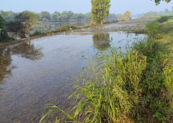 खारुन नदी के तटीय ग्रामों में बाढ़ पीड़ित किसानों को क्षतिपूर्ति राशि शासन तत्काल प्रदान करे-रश्मि वर्मा
