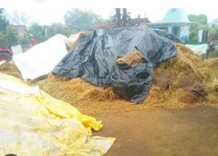 धान खरीदी से पहले तिरपाल पर घमासान, 2573 समितियों के अधिकार पर उठे सवाल