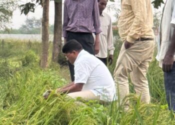 तूफान से फसल बर्बाद और पटवारी हड़ताल पर, भगवान भरोसे छत्तीसगढ़ का किसान: राकेश ठाकुर